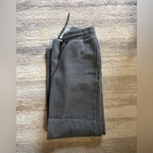 Aritzia cozy fleece perfect fit sweatpants XXS